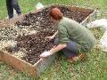 Making no-dig garden bed Bec